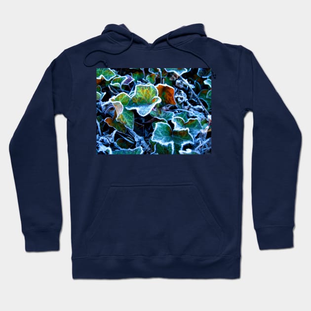 Frost on Ivy Leaves Canberra ACT Australia Hoodie by Heatherian